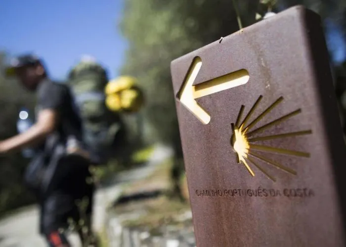 펜션 Casa Da Veiga 카민하